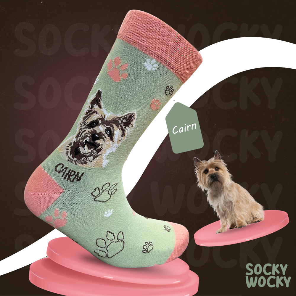 Cairn Terrier Socks Scottish Dog Edition