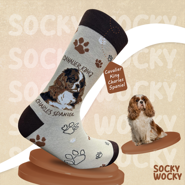 Cavalier King Charles Socks Royal Dog Series