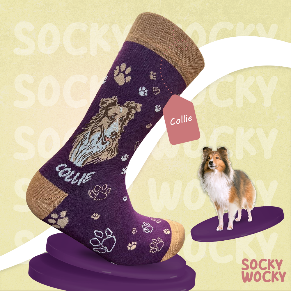 Collie Socks Herding Dog Edition