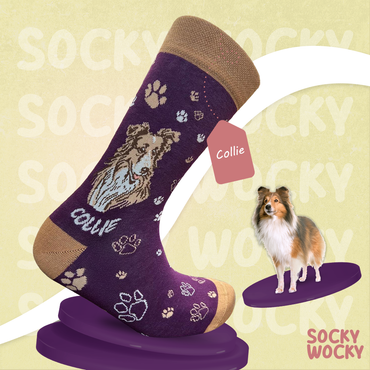 Collie Socks Herding Dog Edition