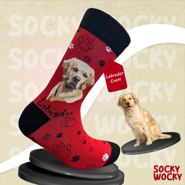 Labrador Cream Socks Dog Breed Series
