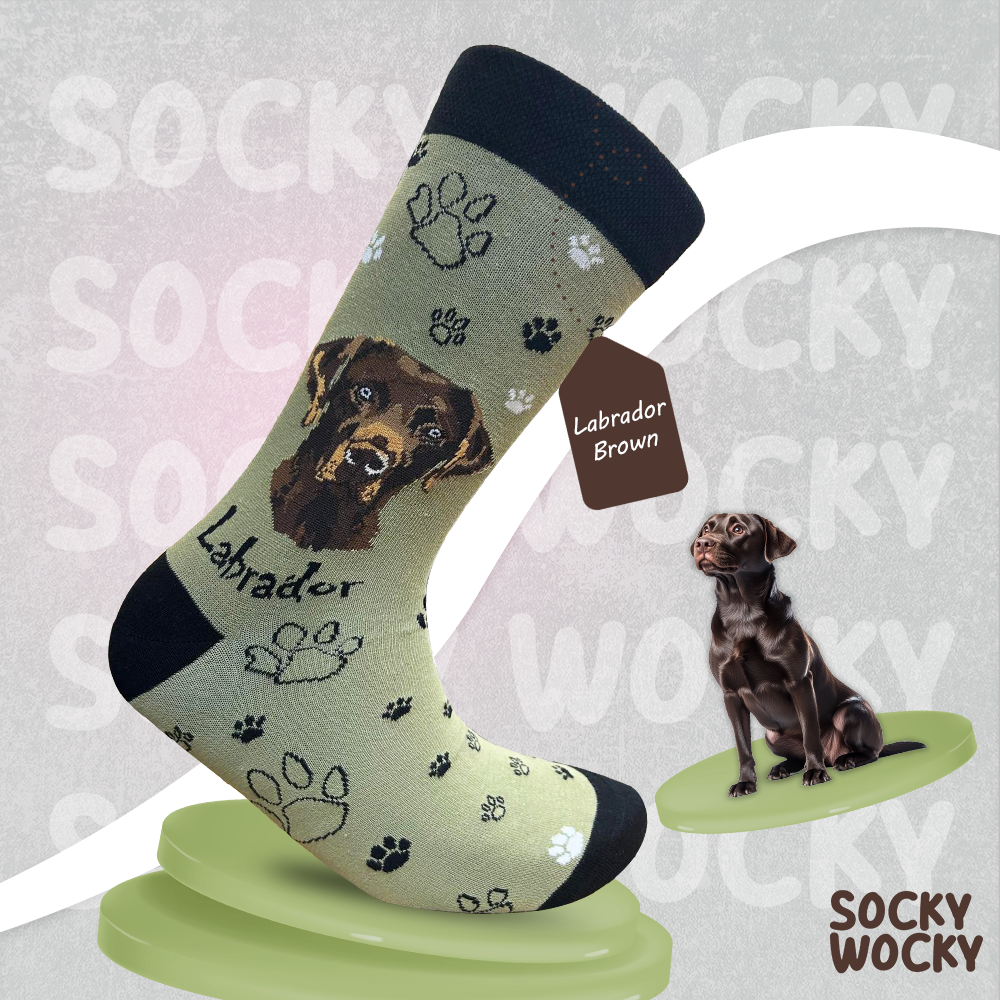 Labrador Brown Socks Classic Dog Edition