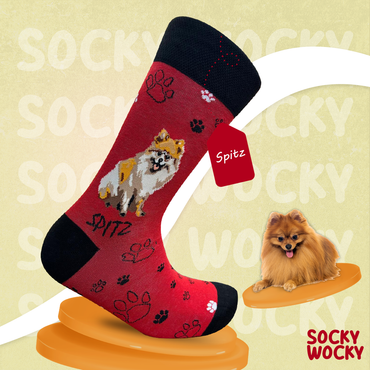 Spitz Socks Fluffy Dog Breed Series