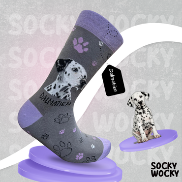 Dalmatian Socks Spot Dog Series