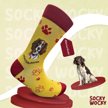 Münsterländer Socks German Dog Breed Series