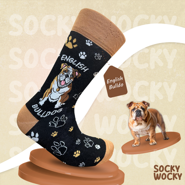 English Bulldog Socks Classic Dog Series