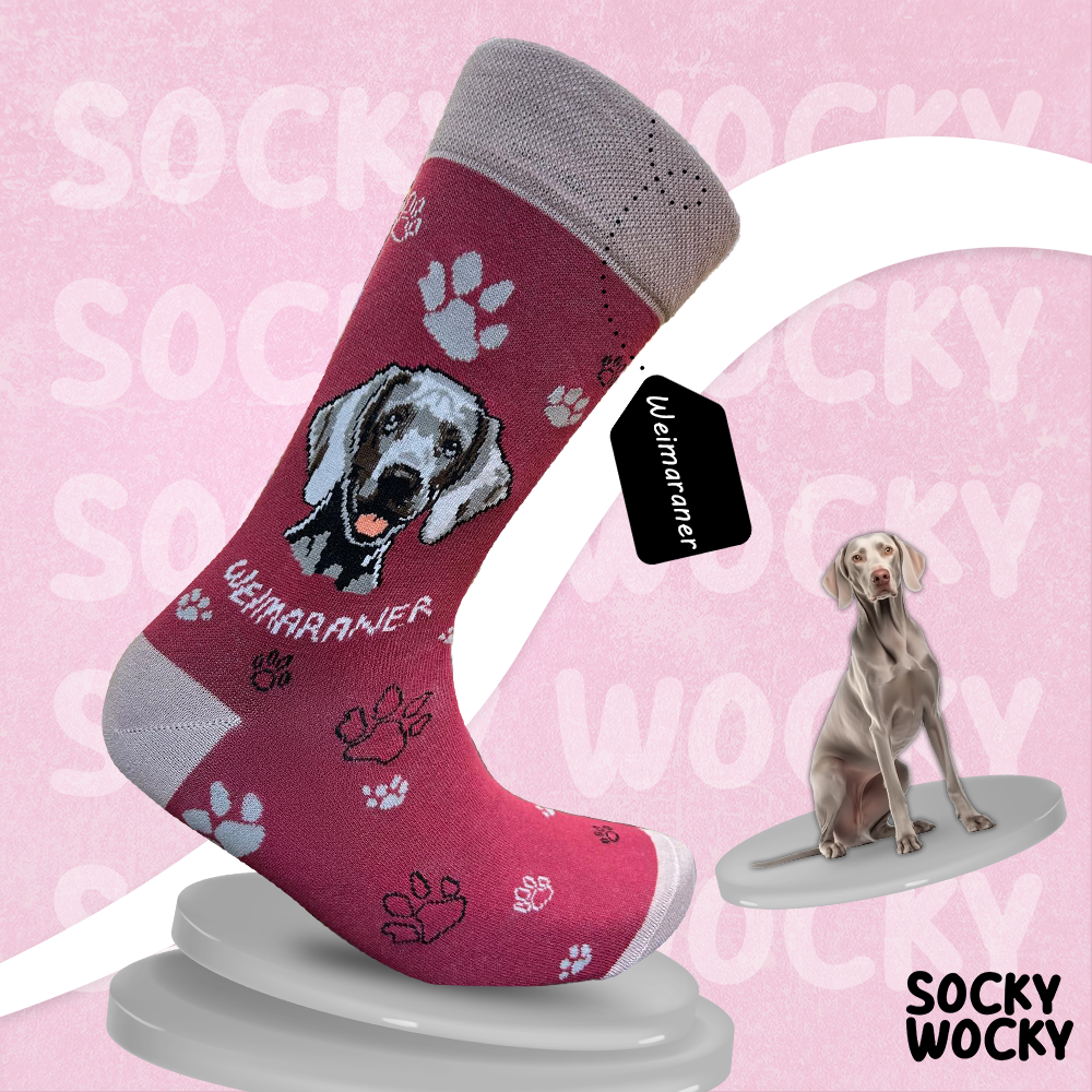 Calze Weimaraner Serie Razza di Cani
