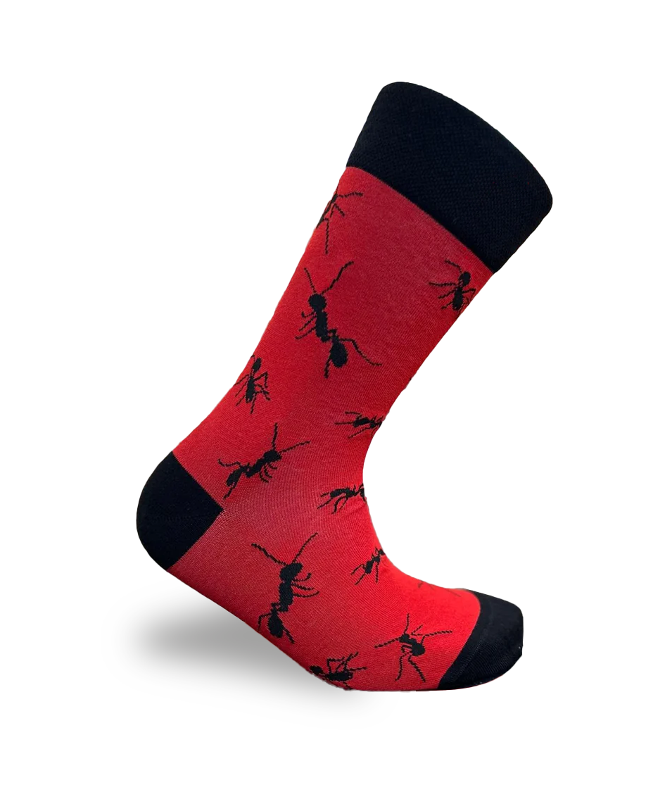 Ant Socks Insect Nature Series