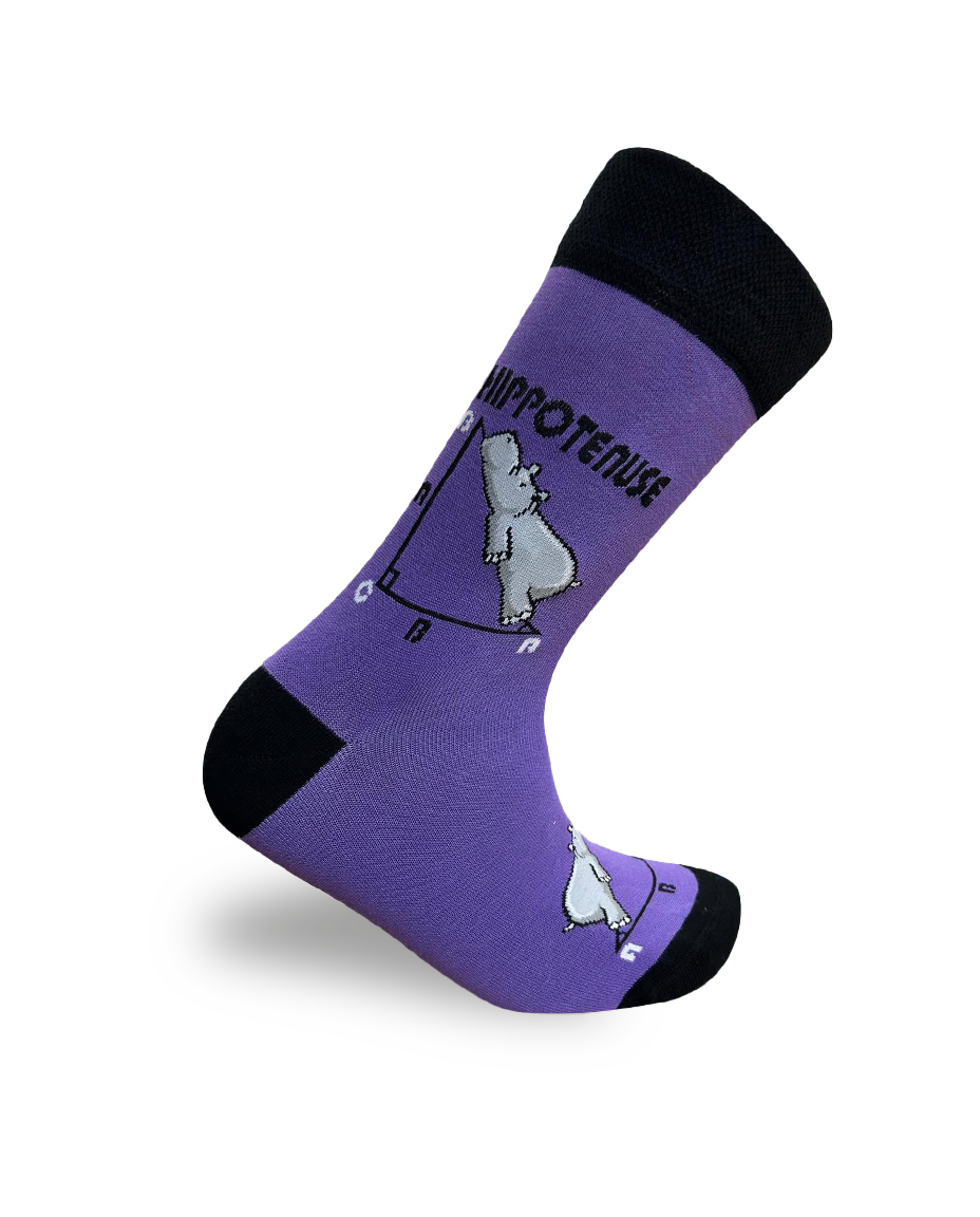 Hippotenuse Purple Socks Geometric Math Style