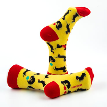 Dackel Socken Hunderasse-Kollektion