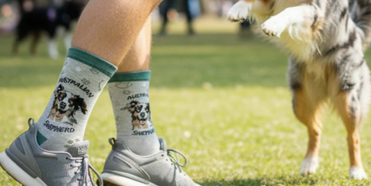 Why Dog-Themed Socks Make Great Gifts for Dog Lovers