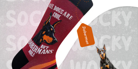 Best Doberman Socks for Dog Lovers Who Want Bold Style