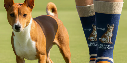 How to Choose Dog-Themed Socks for Comfort and Style