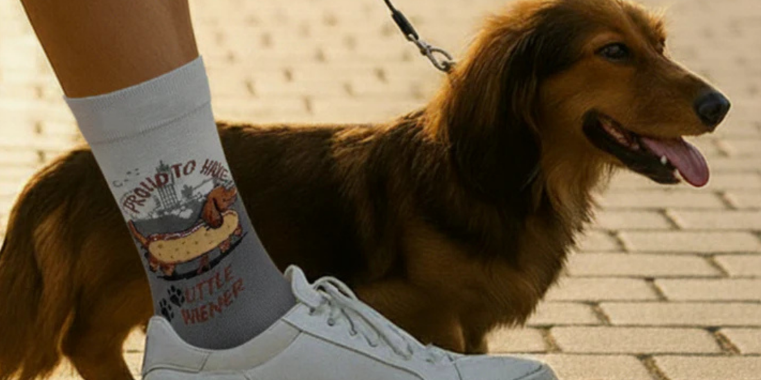 Dachshund Socks That Bring More Fun to Everyday Outfits