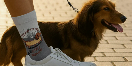 Dachshund Socks That Bring More Fun to Everyday Outfits
