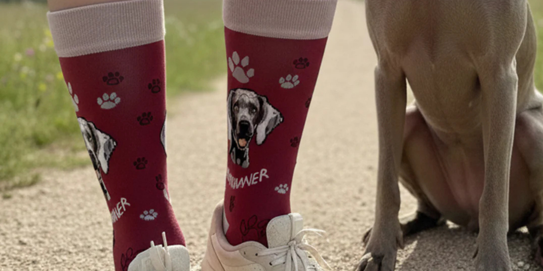 Why Premium Dog-Themed Socks Are Worth Adding to Your Collection