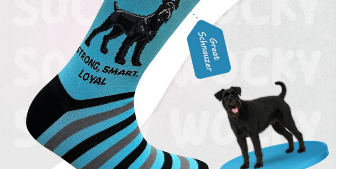 Great Schnauzer Socks for People Who Love Smart and Loyal Dogs