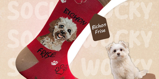 Funny Dog-Themed Socks That Stand Out in Any Sock Drawer