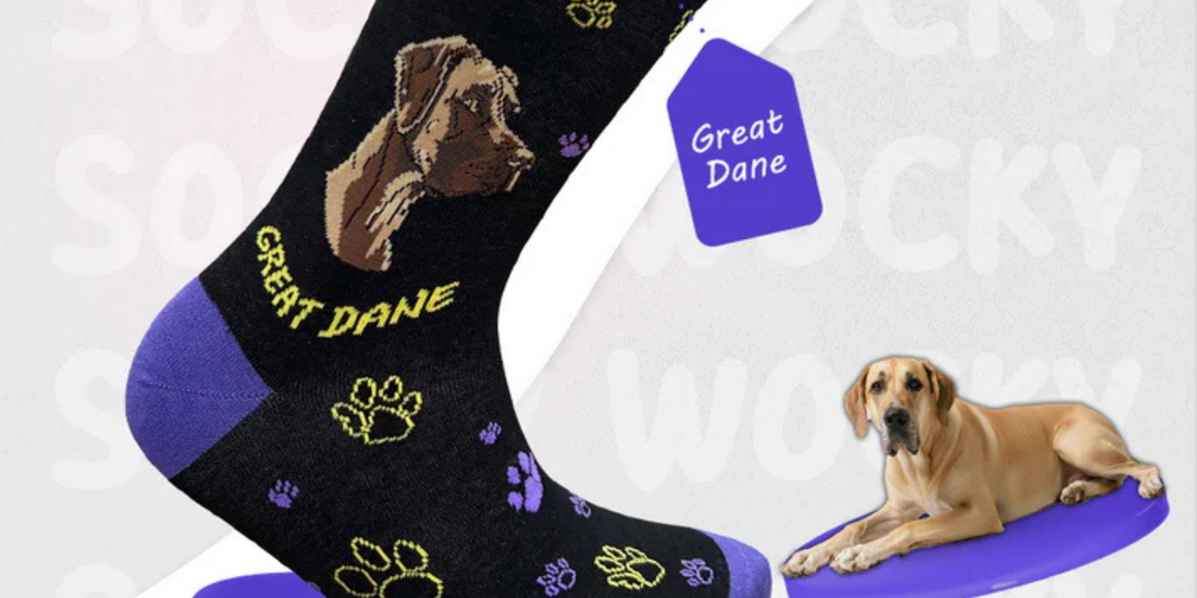5 Great Dane Gift Socks for Dog Fans and Sock Lovers