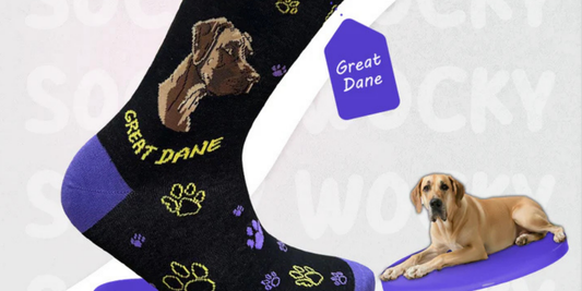 5 Great Dane Gift Socks for Dog Fans and Sock Lovers