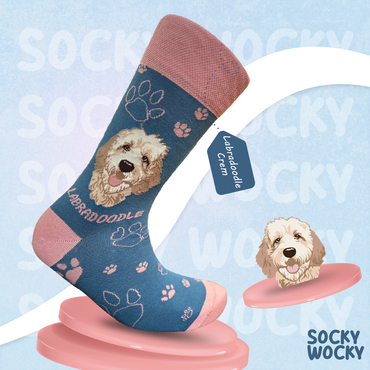 Labradoodle Cream Socks Designer Dog Series