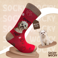 Bichon Frise Socks Cute Fluffy Series