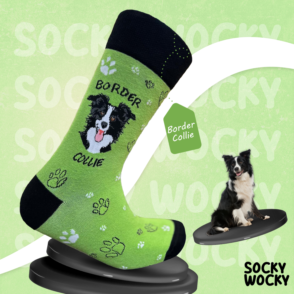 Border Collie Socks Intelligent Dog Line