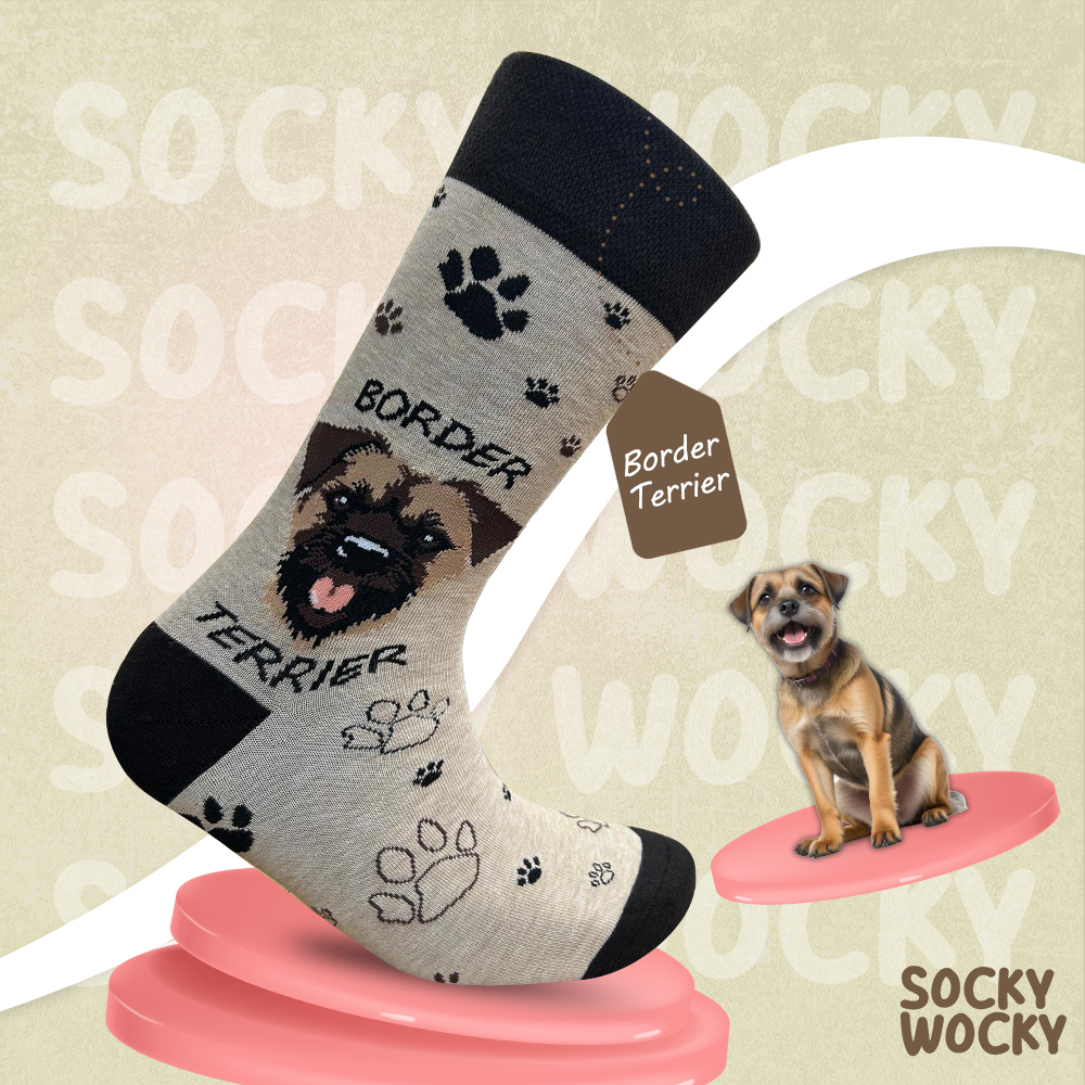 Border Terrier Socks Working Dog Edition