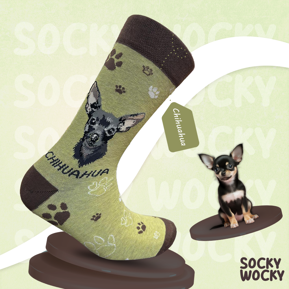 Chihuahua Black Socks Small Dog Edition