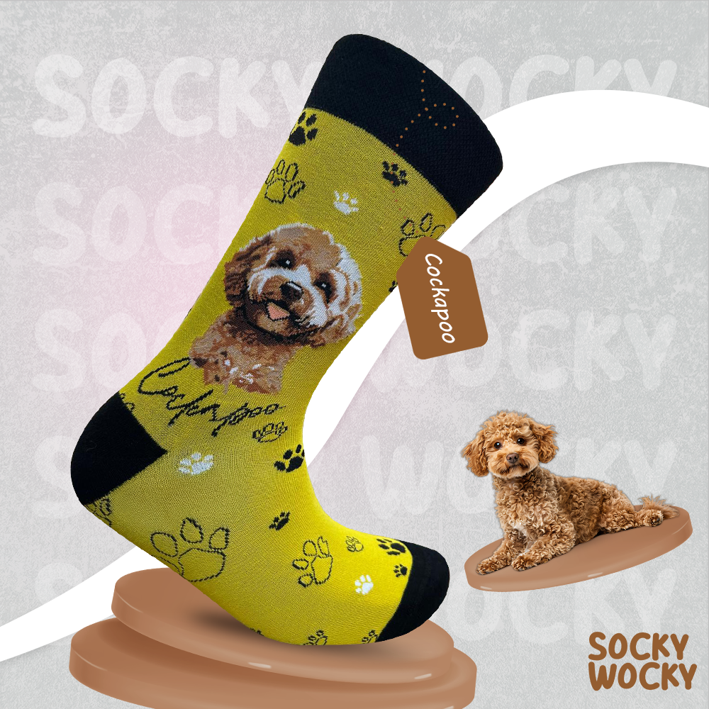 Cockapoo Portrait Socks Dog Art Edition