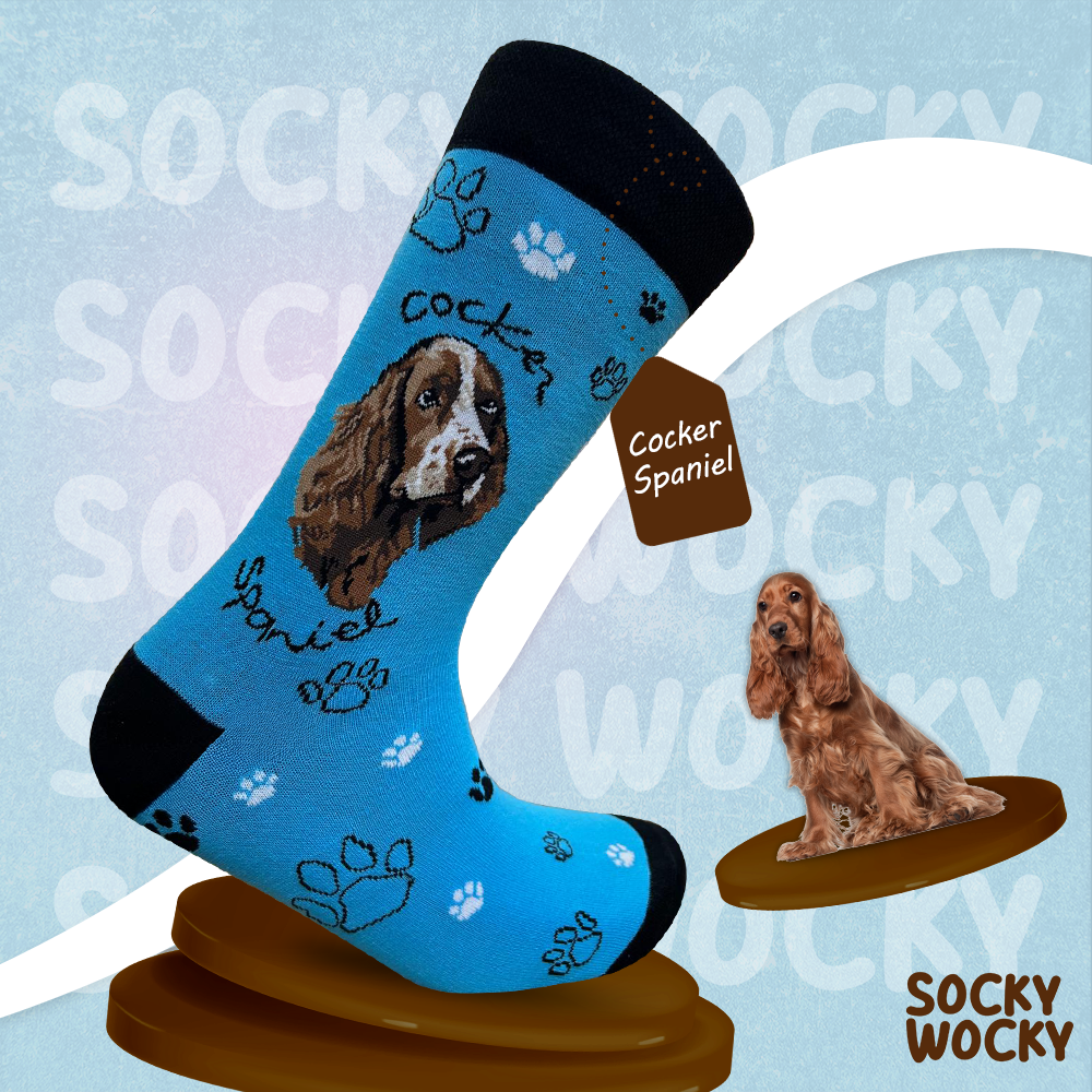 Cocker Spaniel Socks Friendly Dog Series