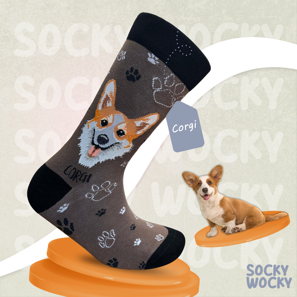 Corgi Socks Cute Short Leg Dog Edition