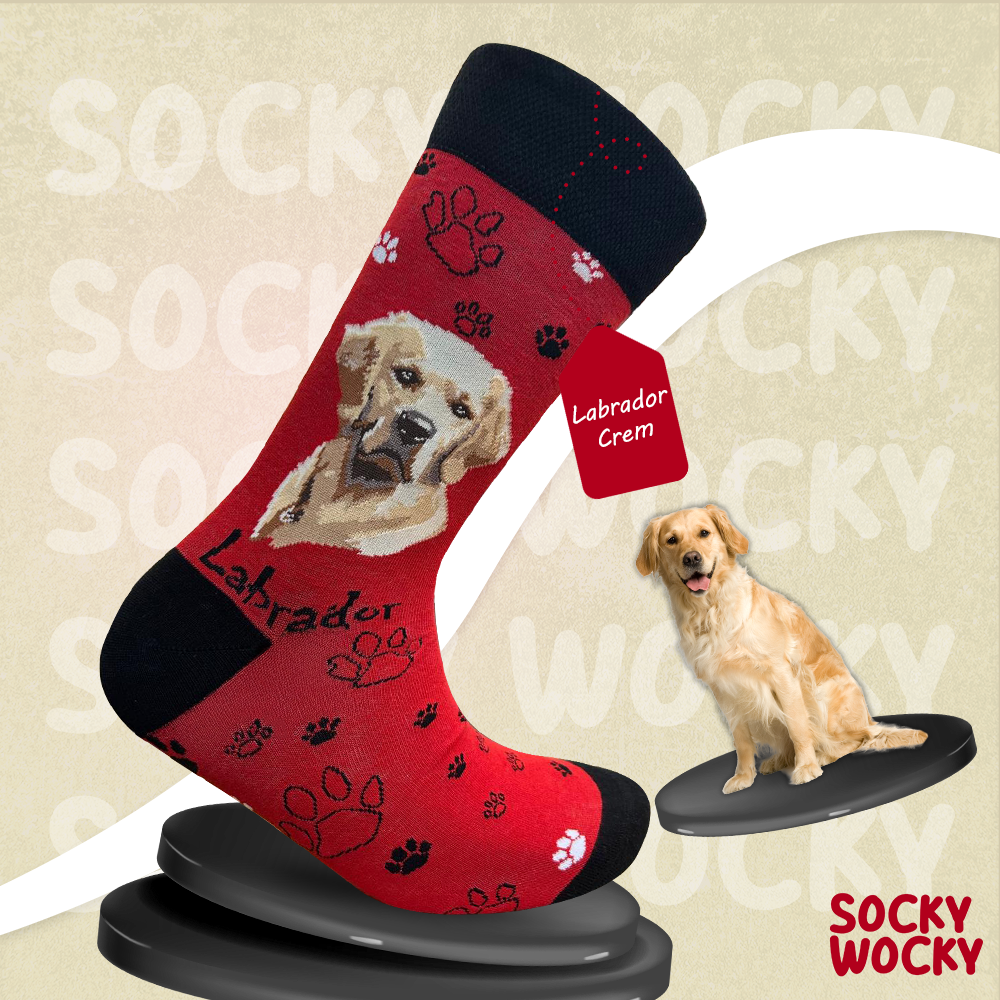 Labrador Cream Socks Dog Breed Series