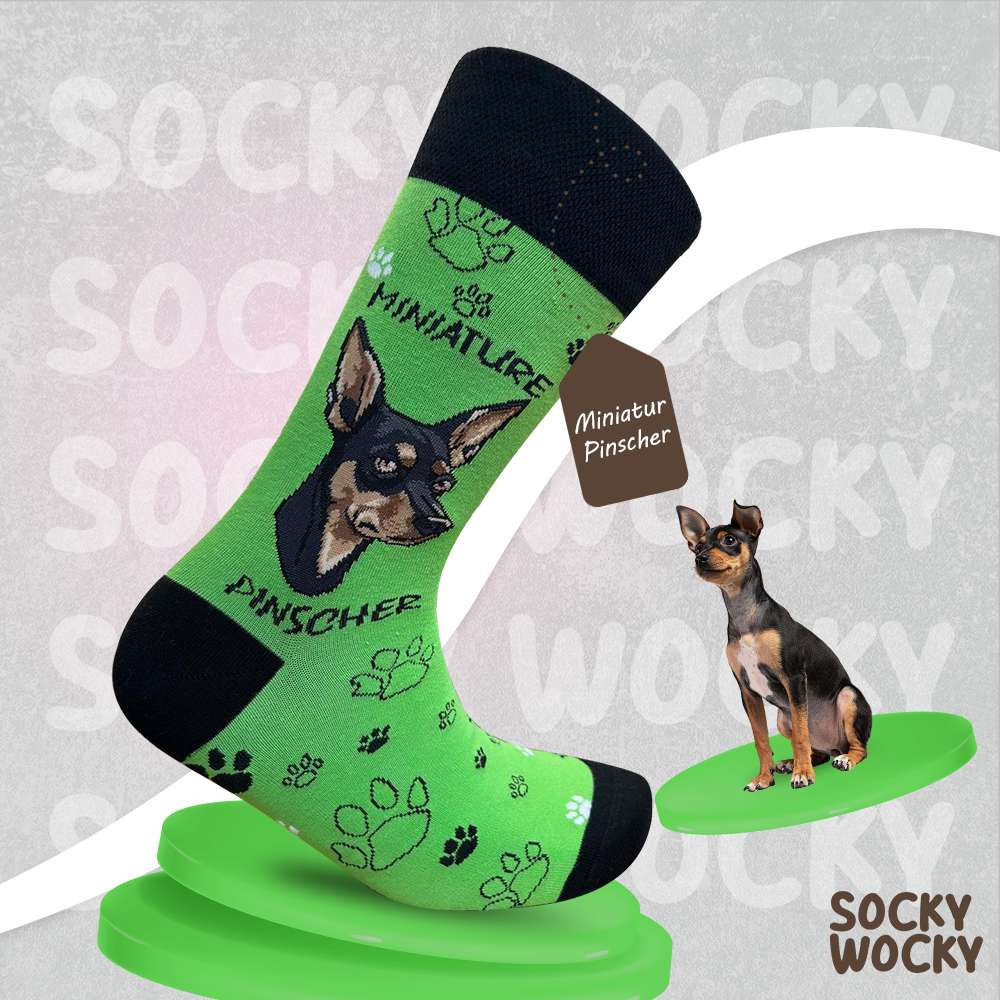 Miniature Pinscher Socks Small Dog Series