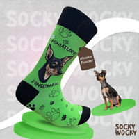Miniature Pinscher Socks Small Dog Series