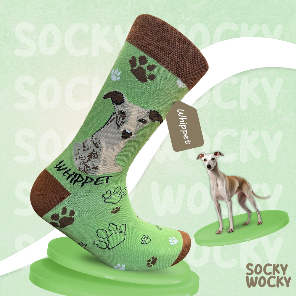 Calze Whippet Serie Razze di Cani