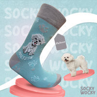 Maltese Socks Toy Dog Breed Series