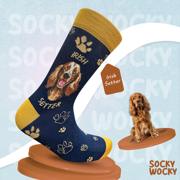 Irish Setter Socks Hunting Dog Edition