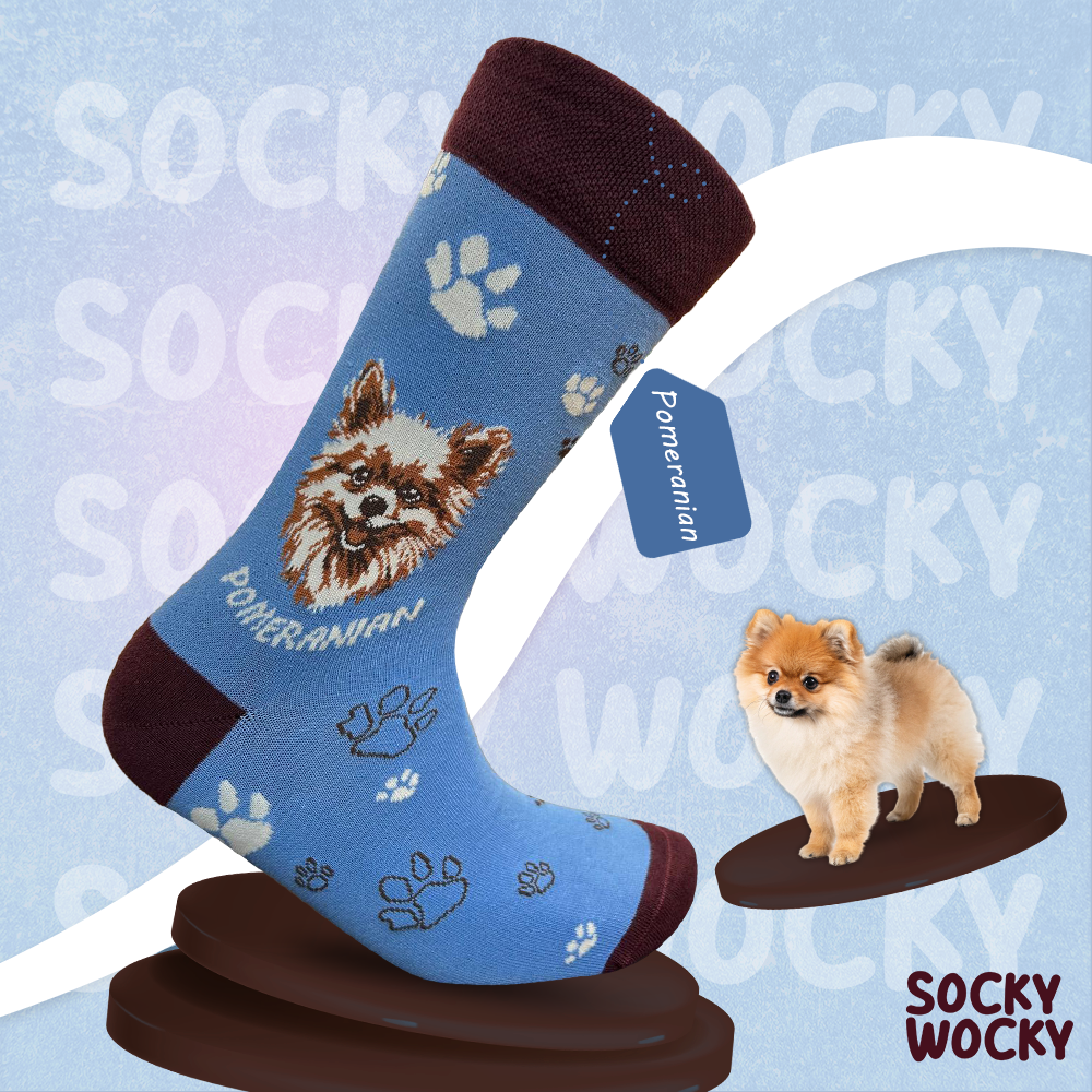 Pomeranian Socks Small Dog Collection