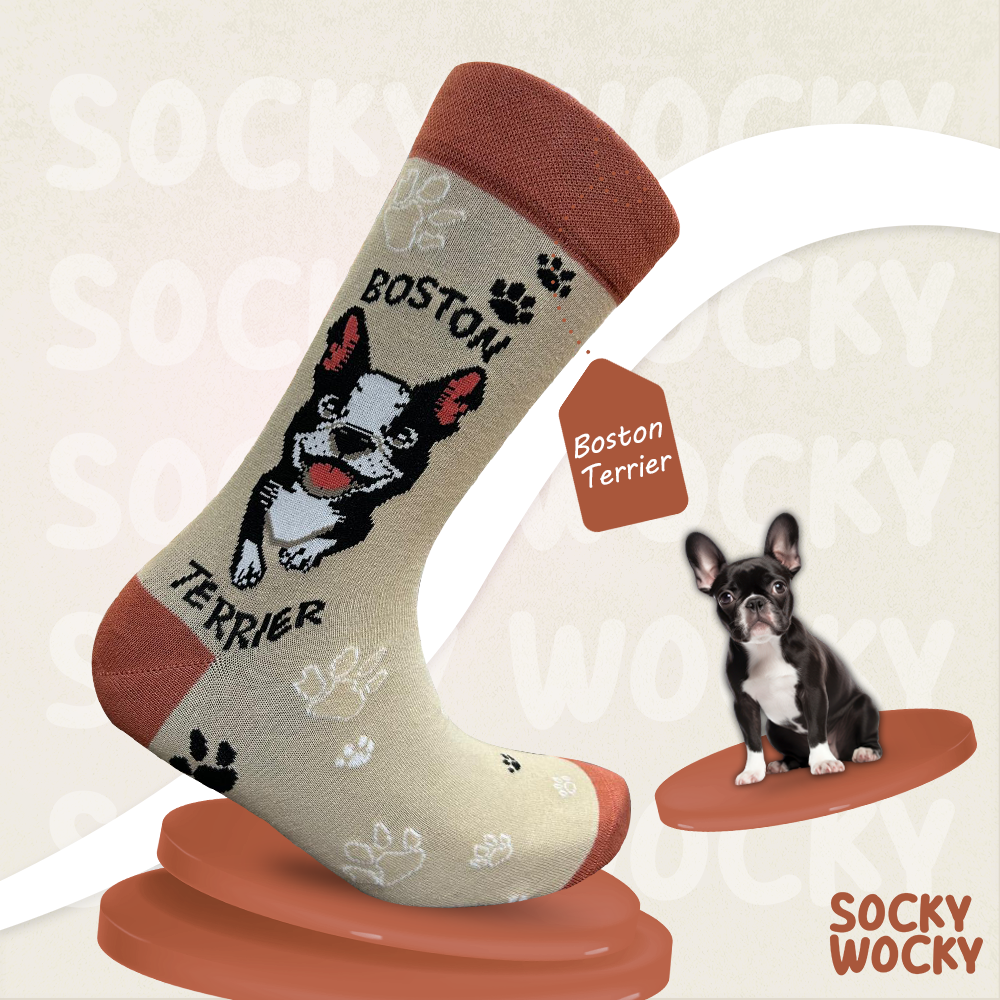 Boston Terrier Socks Dog Breed Series