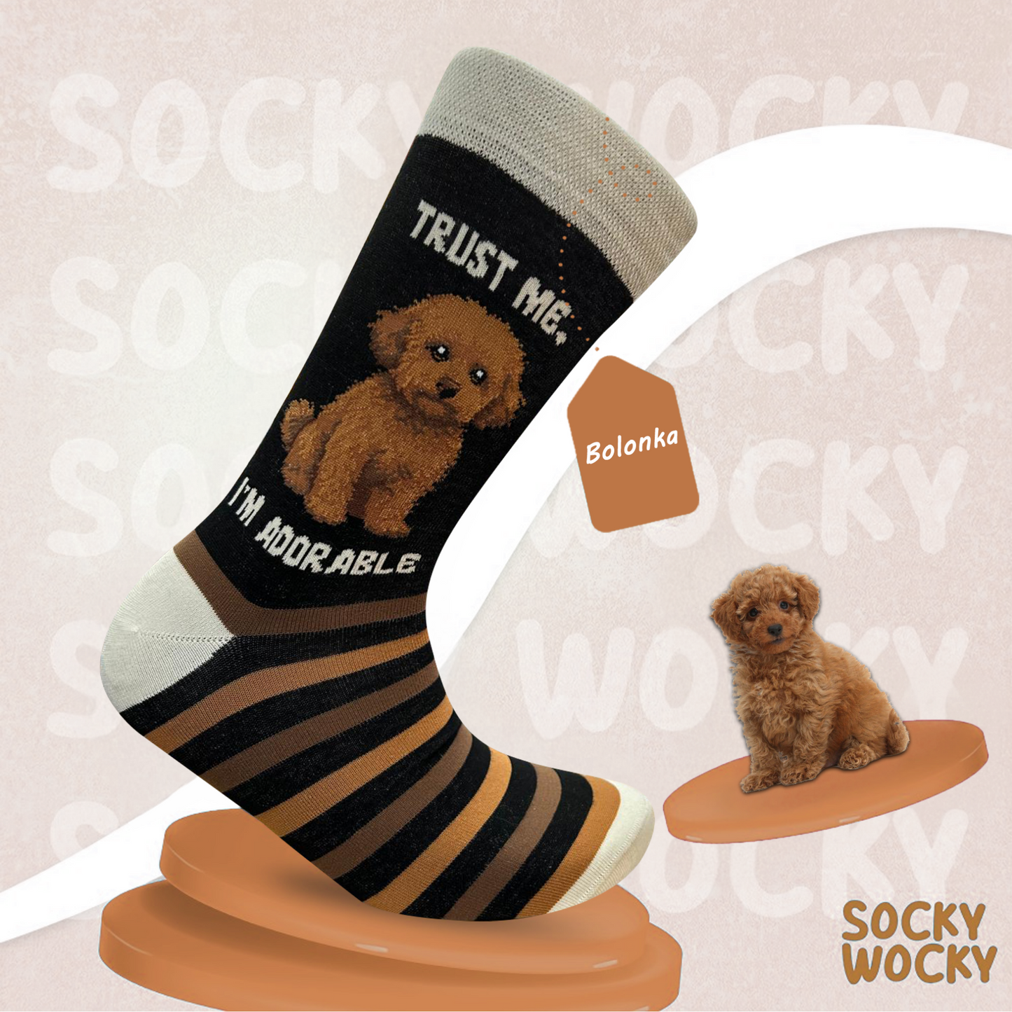 ⁠Bolonka Socks Small Dog Breed Series