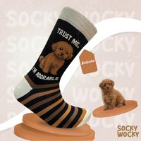 ⁠Bolonka Socks Small Dog Breed Series