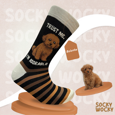 ⁠Bolonka Socks Small Dog Breed Series