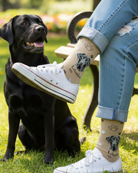 Labrador Black Socks Loyal Dog Series