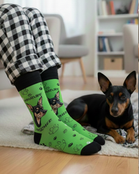 Miniature Pinscher Socks Small Dog Series