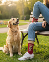 The Best Therapy Golden Socks Dog Love Series