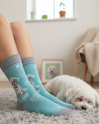 Maltese Socks Toy Dog Breed Series