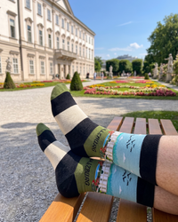 Salzburg & Mirabell Palace A Historic Palace Experience