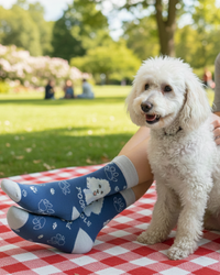 Poodle Socks Elegant Dog Series