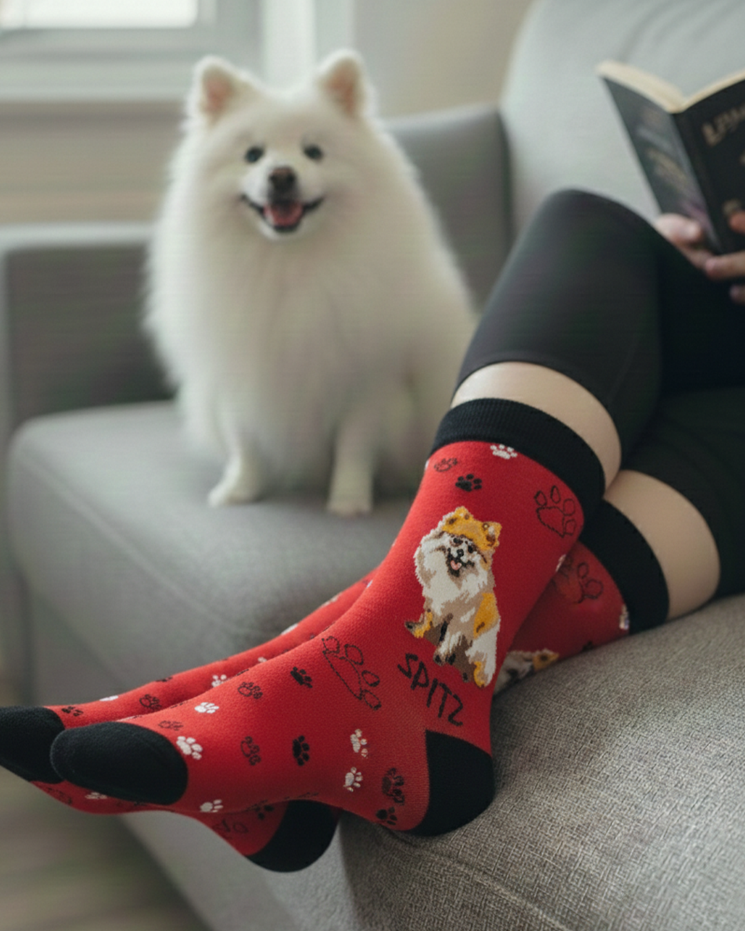 Spitz Socks Fluffy Dog Breed Series